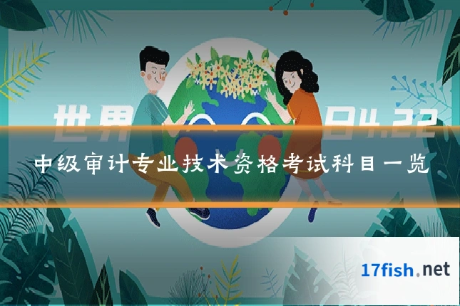 中级审计专业技术资格考试科目一览