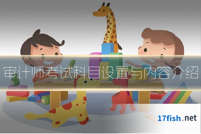 审计师考试科目设置与内容介绍