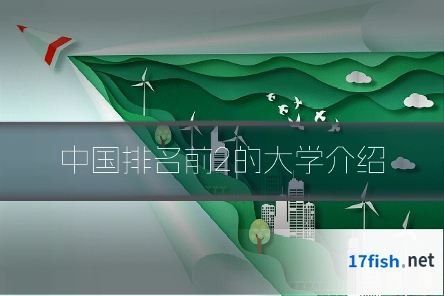 中国排名前2的大学介绍
