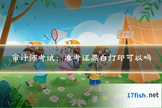 审计师考试：准考证黑白打印可以吗