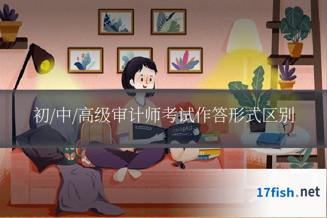 初/中/高级审计师考试作答形式区别
