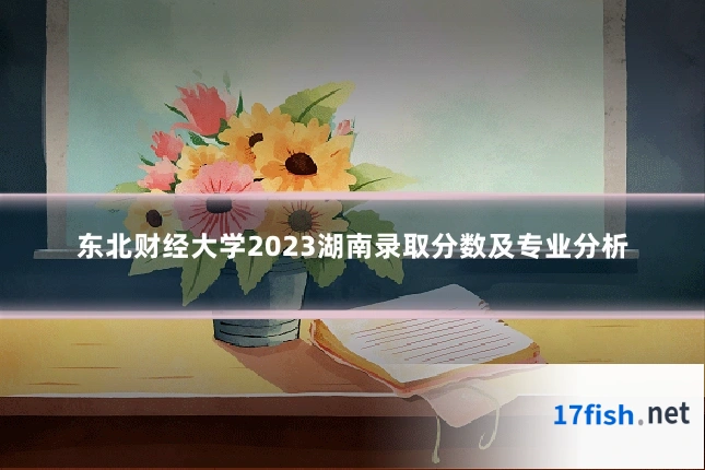 东北财经大学2023湖南录取分数及专业分析