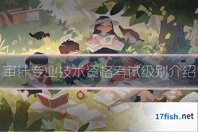 审计专业技术资格考试级别介绍