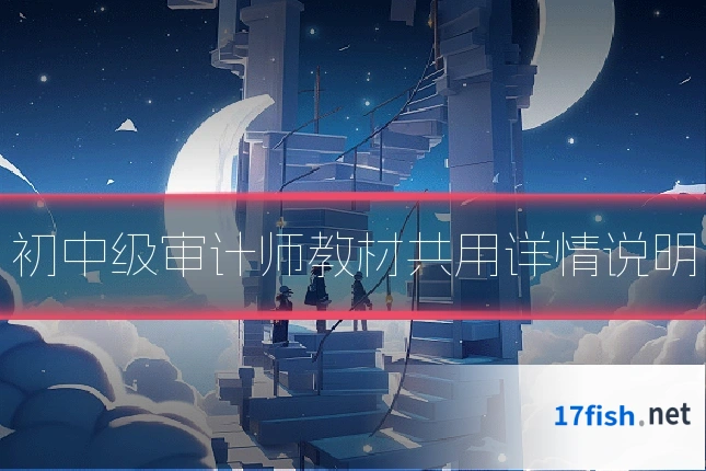 初中级审计师教材共用详情说明
