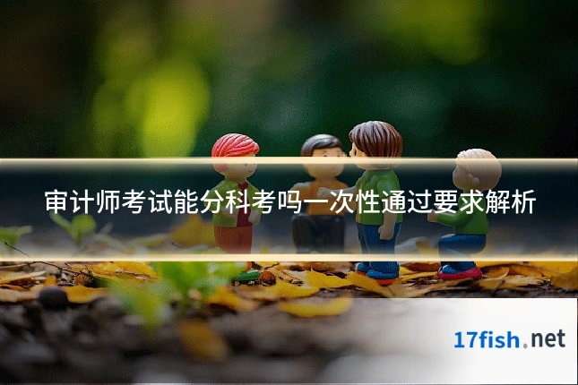 审计师考试能分科考吗一次性通过要求解析