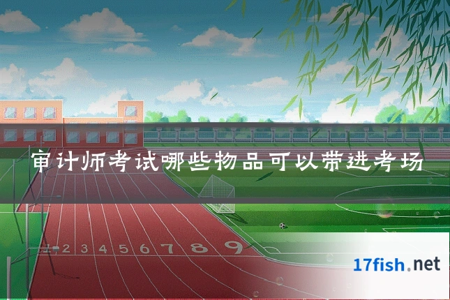 审计师考试哪些物品可以带进考场