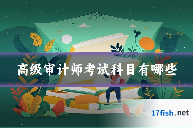 高级审计师考试科目有哪些