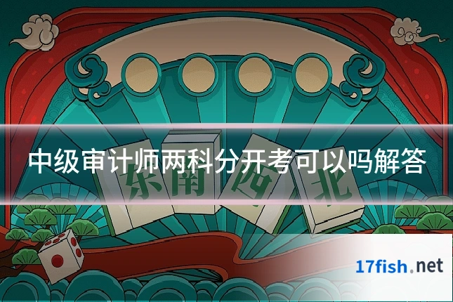 中级审计师两科分开考可以吗解答