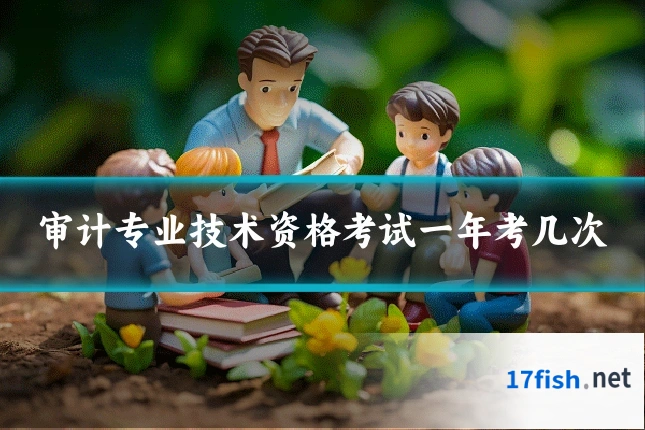 审计专业技术资格考试一年考几次
