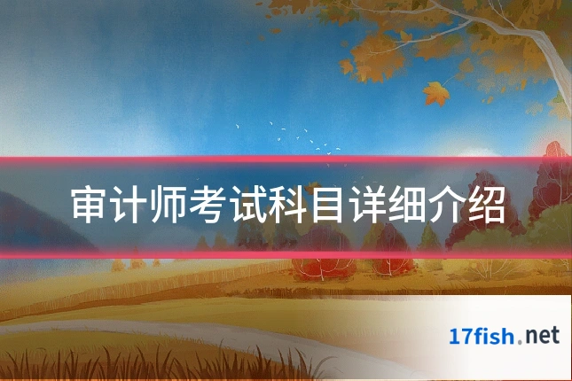 审计师考试科目详细介绍
