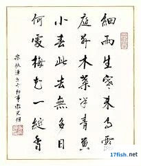 何处小雪节气梅花位置攻略大全