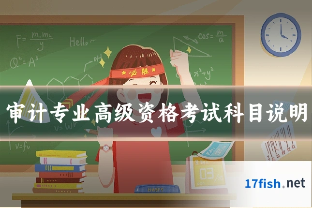 审计专业高级资格考试科目说明