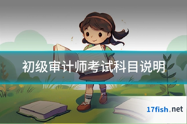 初级审计师考试科目说明