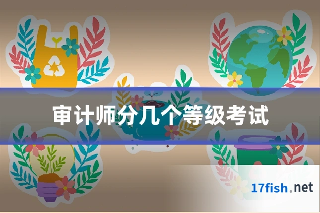 审计师分几个等级考试