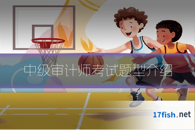 中级审计师考试题型介绍