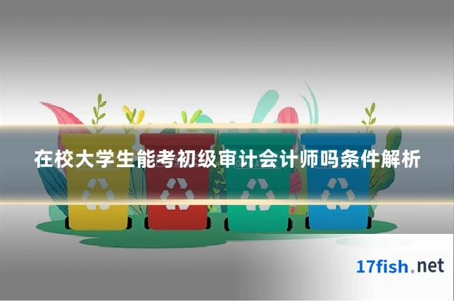 在校大学生能考初级审计会计师吗条件解析