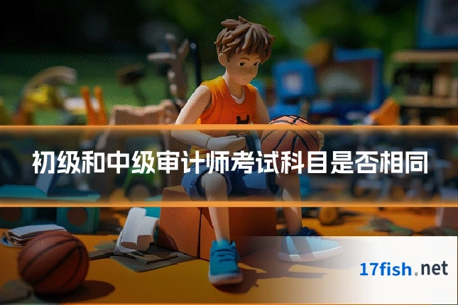 初级和中级审计师考试科目是否相同