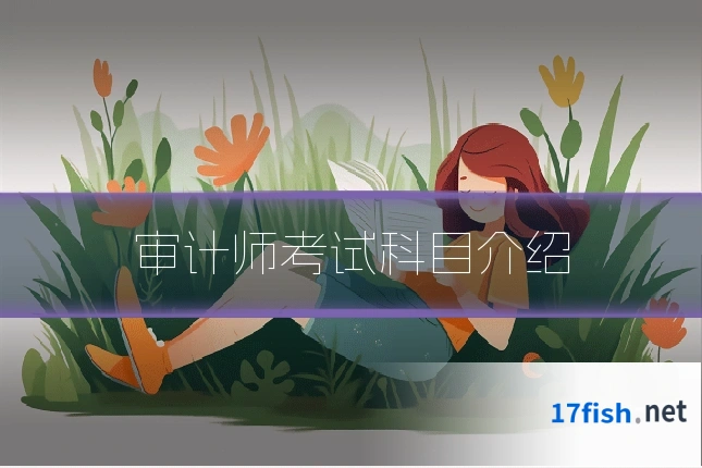 审计师考试科目介绍