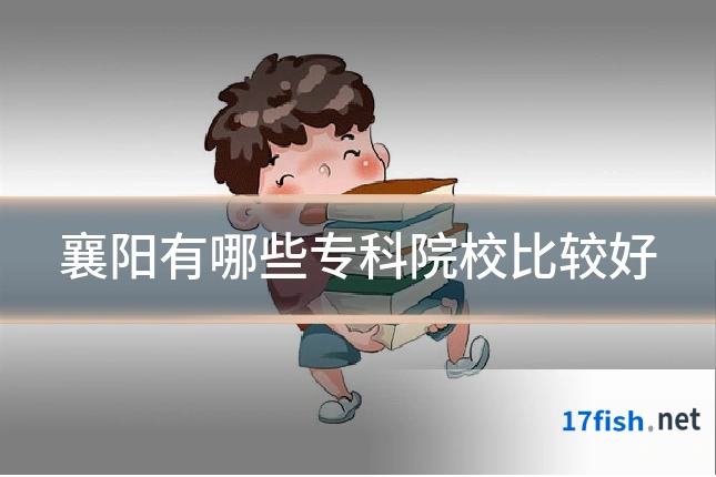 襄阳有哪些专科院校比较好
