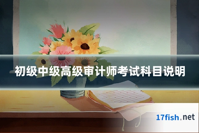 初级中级高级审计师考试科目说明