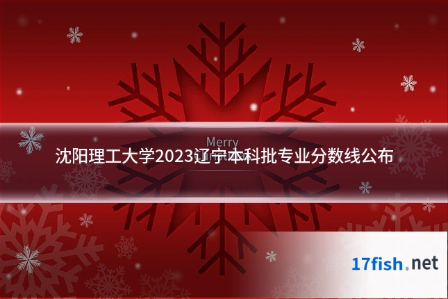 沈阳理工大学2023辽宁本科批专业分数线公布