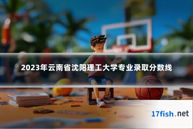 2023年云南省沈阳理工大学专业录取分数线