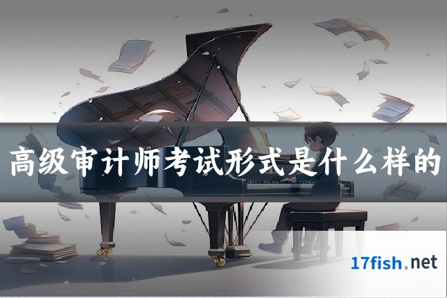 高级审计师考试形式是什么样的