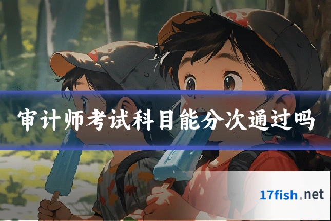 审计师考试科目能分次通过吗