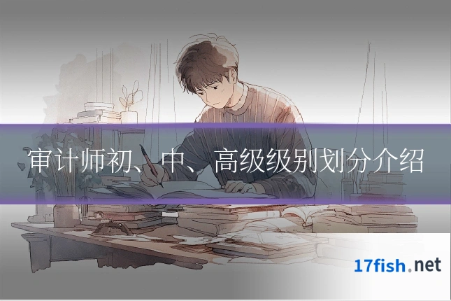 审计师初、中、高级级别划分介绍