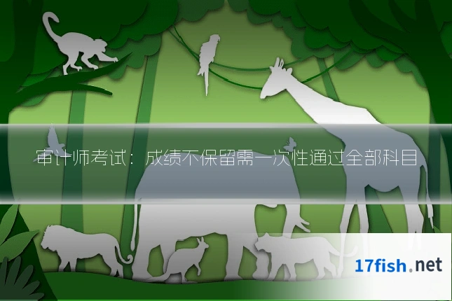 审计师考试：成绩不保留需一次性通过全部科目
