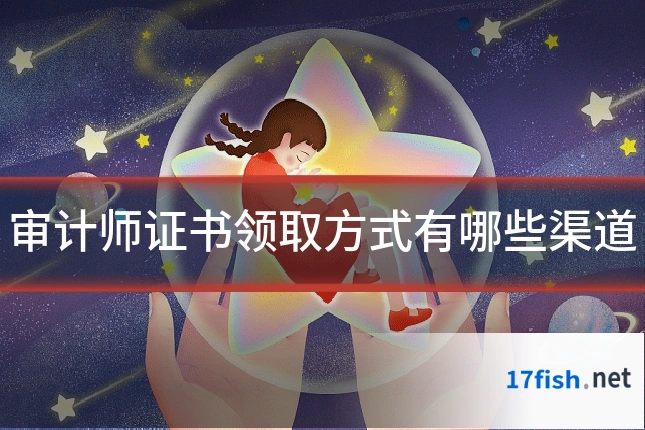 审计师证书领取方式有哪些渠道