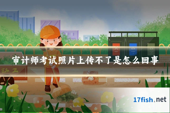 审计师考试照片上传不了是怎么回事