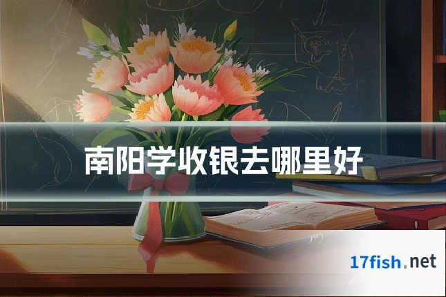 南阳学收银去哪里好