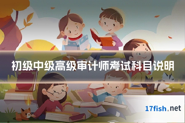 初级中级高级审计师考试科目说明