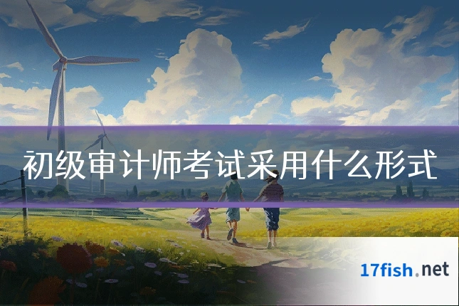 初级审计师考试采用什么形式
