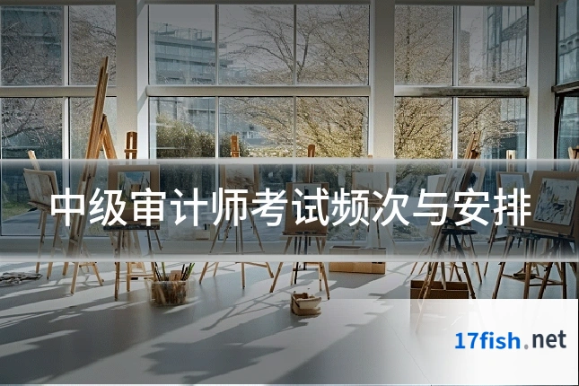 中级审计师考试频次与安排