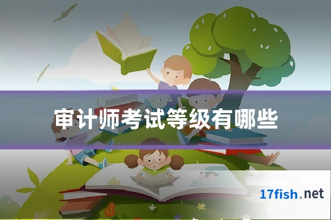 审计师考试等级有哪些