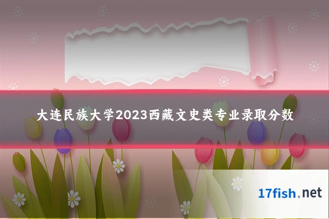 大连民族大学2023西藏文史类专业录取分数