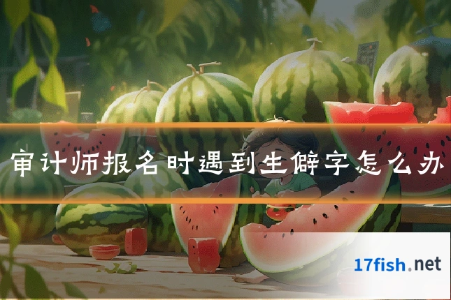 审计师报名时遇到生僻字怎么办