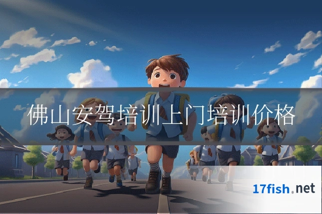 佛山安驾培训上门培训价格