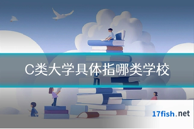 C类大学具体指哪类学校