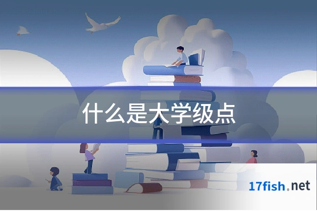 什么是大学级点