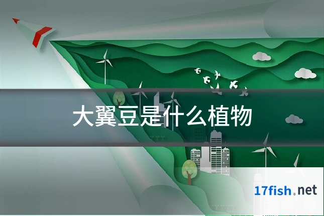 大翼豆是什么植物