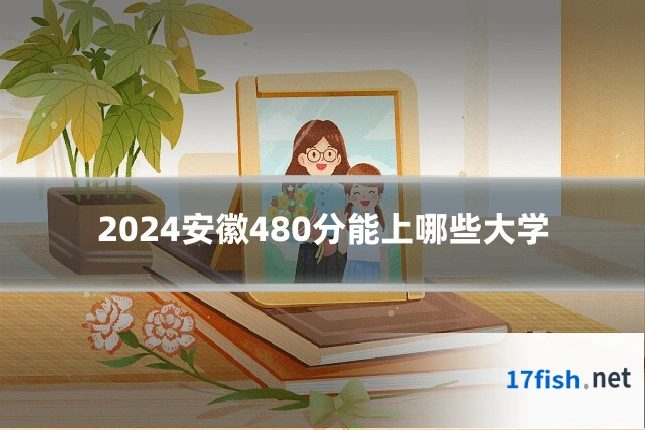 2024安徽480分能上哪些大学