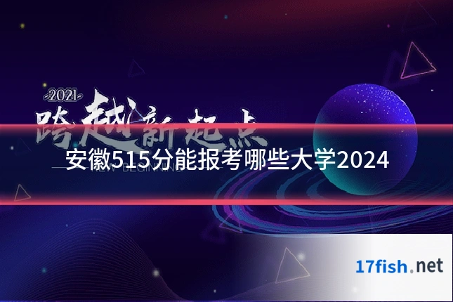 安徽515分能报考哪些大学2024