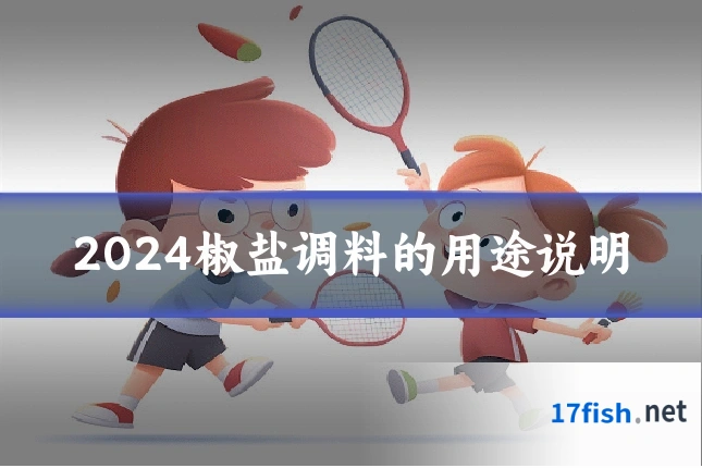 2024椒盐调料的用途说明