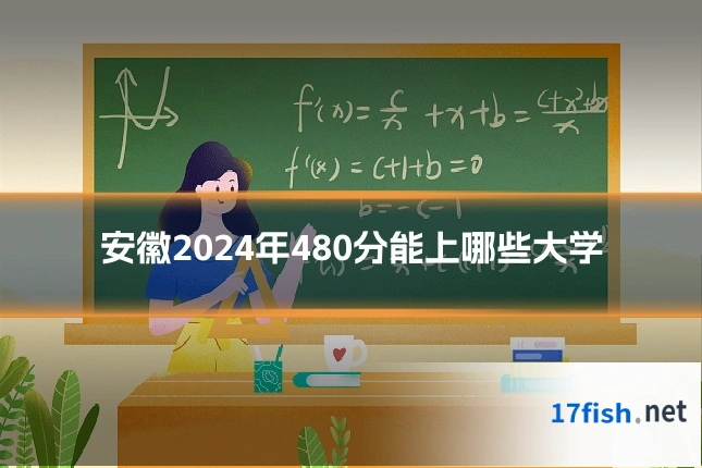 安徽2024年480分能上哪些大学