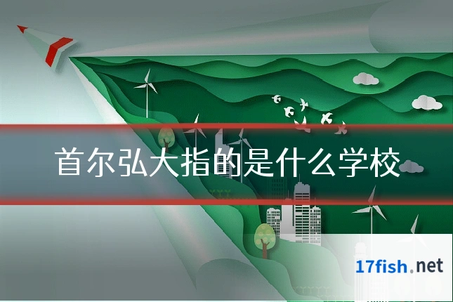 首尔弘大指的是什么学校