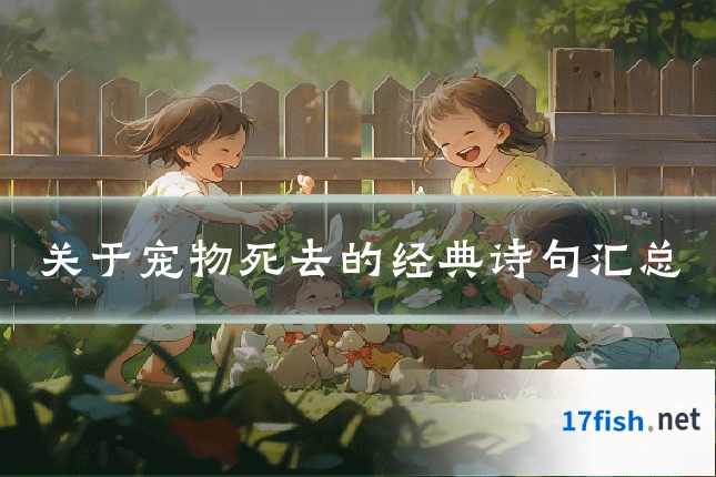 关于宠物死去的经典诗句汇总