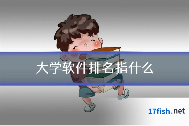 大学软件排名指什么